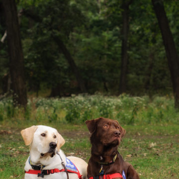 Bark for Life Calendar