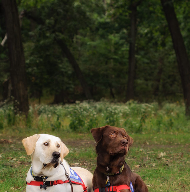 Bark for Life Calendar