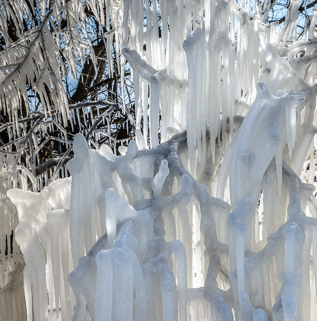 ice sculpture