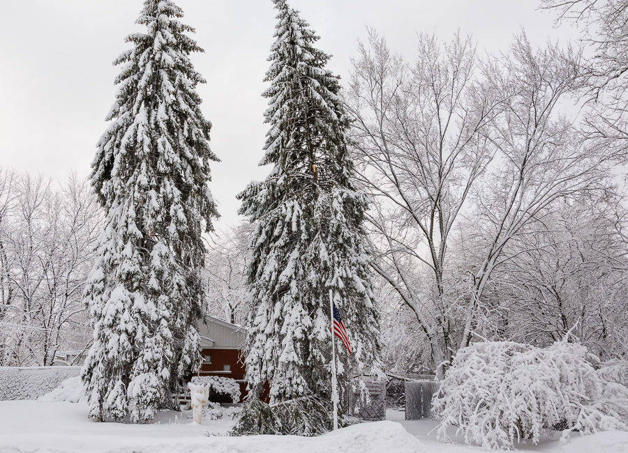 march 2014 snow