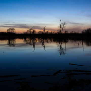 Davies Pond long exposure