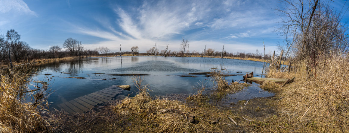 davies pond