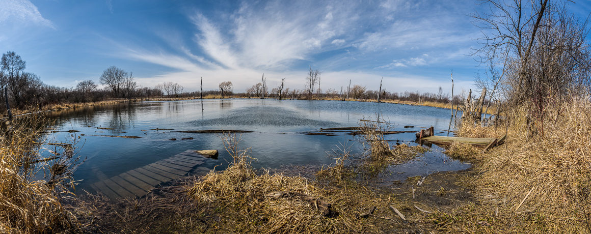 davies pond