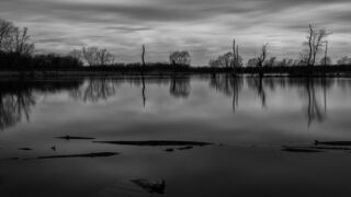 Davies Pond